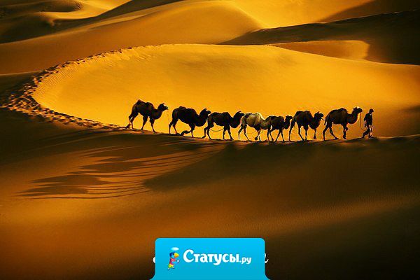 Жизнь пролетает моментально. А мы живем, как будто пишем черновик. Не понимая в суете скандальной, что наша жизнь - всего лишь только миг.