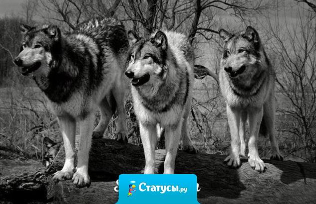 Не беда, если нет друзей, беда если они фальшивые и продажные.