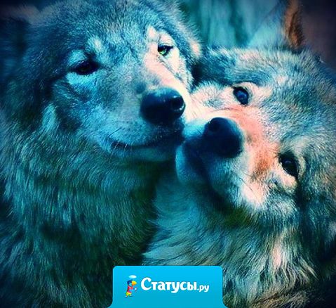 Если ты любишь человека таким, какой он есть – то ты любишь его.  Если ты пытаешься его кардинально менять – то ты любишь себя.