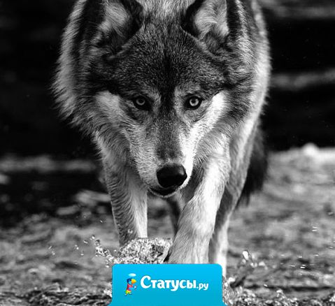 Хорошие друзья достаются тому, кто сам умеет быть хорошим другом.