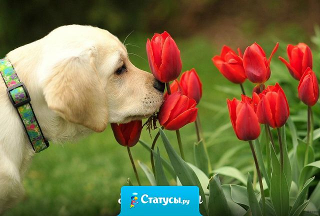 Жизнь безумно красива, когда начинаешь ее замечать.