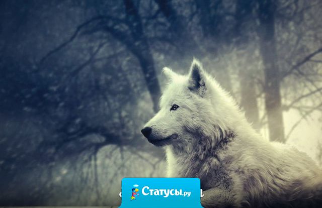 Не судите меня за прошлое, я не живу там больше.