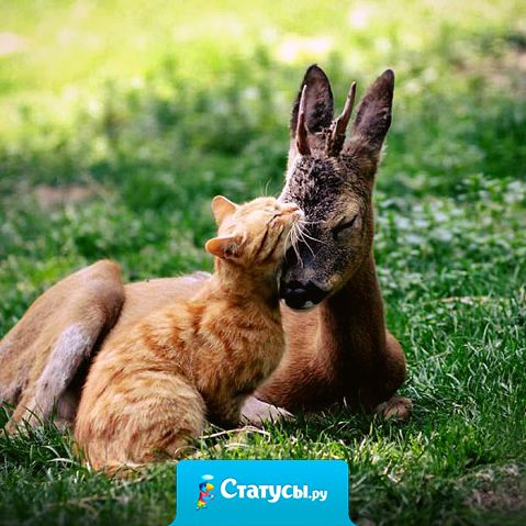 Жизнь иногда напоминает принцип эскалатора – мы засматриваемся на тех, с кем нам не по пути.