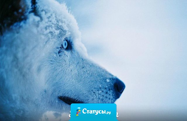 Побыв длительное время в одиночестве,  становится понятно, что в компании быть уже не сможешь.