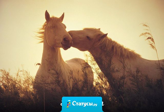 Если ты хочешь, чтобы кто-то остался в твоей жизни, — никогда не относись к нему равнодушно.