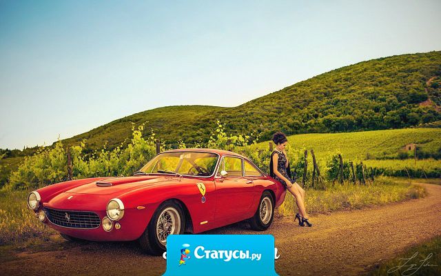 Каждый день многие доказывают мне, что жизнь без мозга реальна.