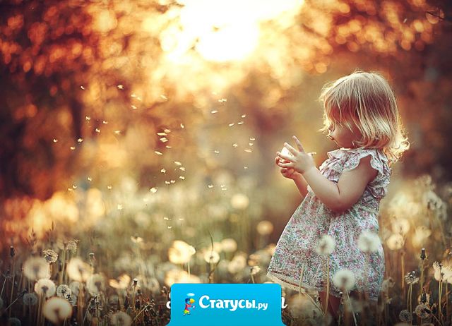 Все что мы посылаем в жизнь других людей – возвращается в нашу собственную.