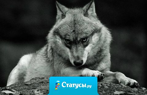 Чем лучше относишься к людям, тем хуже они относятся к тебе.