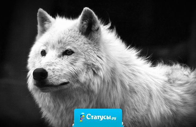 Я никого не забыл. Я просто наблюдаю, кто помнит меня.