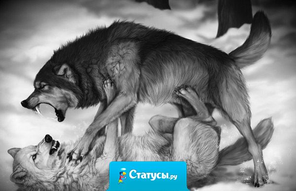 Друзьями остаются те, кого с годами не съела зависть!