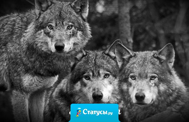 Настоящие друзья это не те, кто уходит тихо из вашей жизни и не возвращается, а те, кто вас спустя годы находит.  Возвращается, как-будто и не было этих лет расставания.