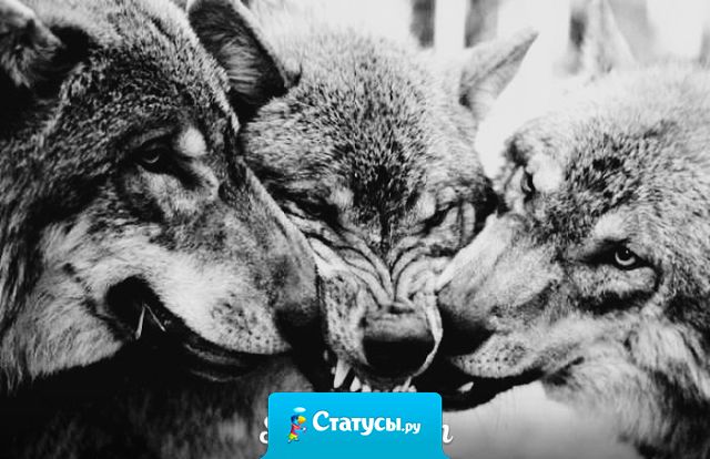 Как ты ко мне так и я к тебе - мой девиз.