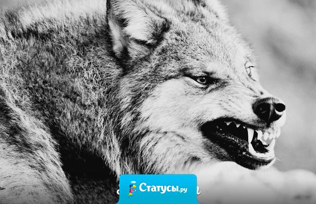 Я помогал чужим и не просил спасибо. Я умирал в душе, а люди проходили мимо.