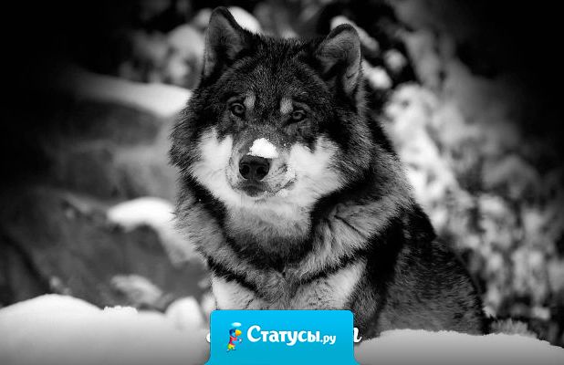 Кто хочет отнять что-нибудь у другого, непременно потеряет свое.