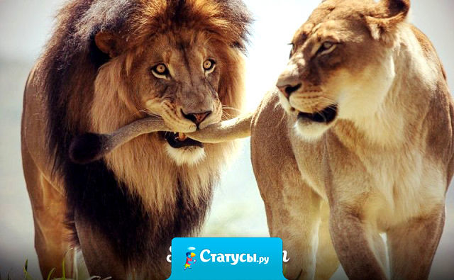 В наше время, не женатый мужчина не обязательно холостяк!  Он может быть замужем.