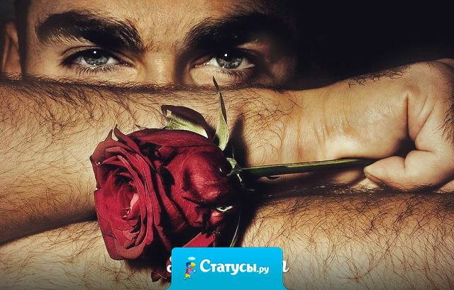 Достойные женщины никогда не просят подарков, достойные мужчины всегда их им сами дарят.