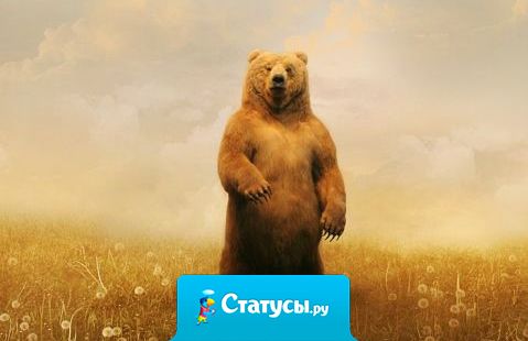 Я вот думаю - сделать загранпаспорт или подождать, когда Россия везде будет?