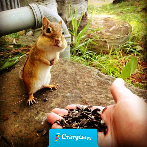 Какая то сволочь принесла семечки на день рождения. Водку так и не открыли!