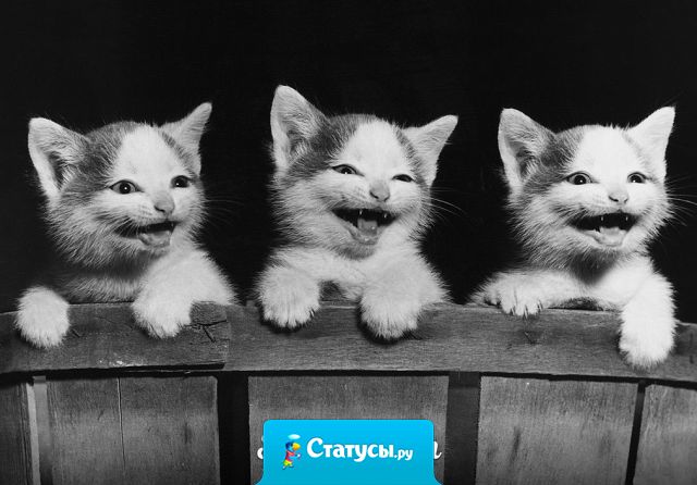 Не буду ни над кем шутить 1 апреля. Так, как природа пошутила над некоторыми, у меня всё равно не получится.