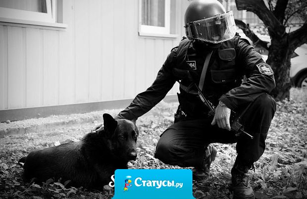 России необходимы правоохранительные органы, которые бы защищали граждан от существующих правоохранительных органов.