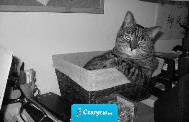 Можно победить нашу лень, можно победить нашу дремучесть, можно победить нашу глупость. Наше ПОФИГ - непобедимо!