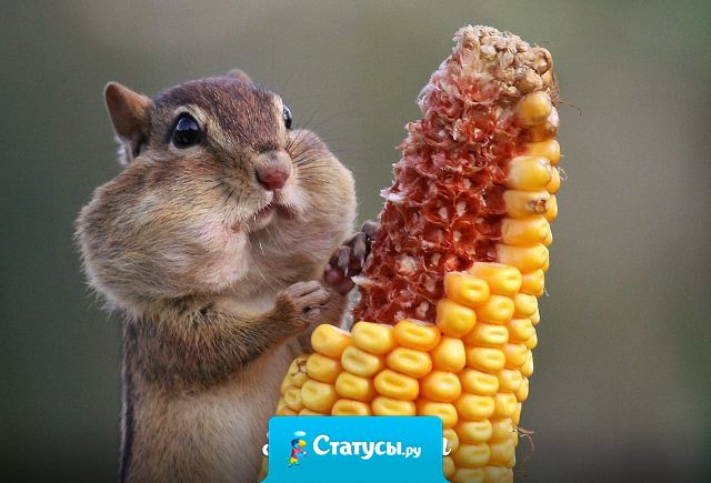 Коротко о праздниках - прожрали месячный бюджет.