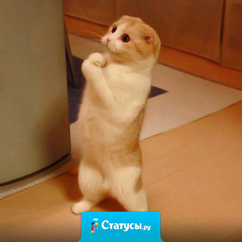 Ещё каких - нибудь 37 понедельников - и Лето.