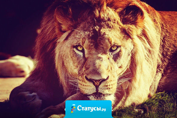 У меня очень терпеливый характер, типа накопительной системы скидок. Главное потом не попасть под мою раздачу бонусов.