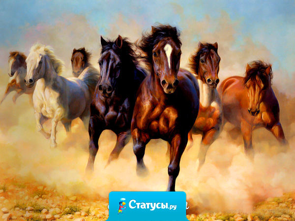 Мои мысли - мои скакуны! Зачем перед сном Прискакал весь табун?!