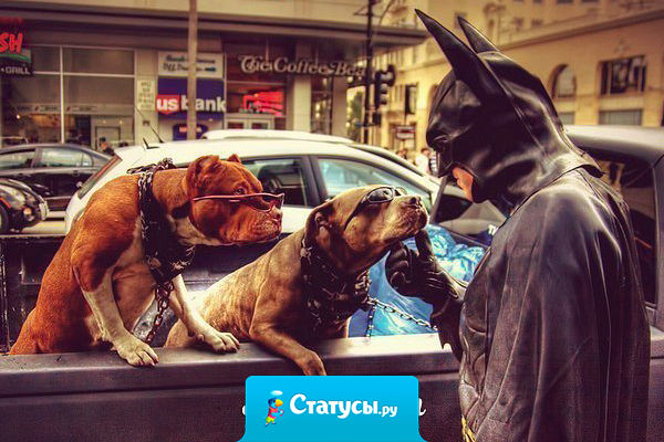 Не всегда всё должно быть так, как я хочу я совершенно не против, чтобы было намного лучше.