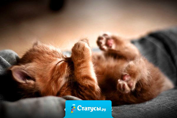 Ночью никак не можешь лечь поудобней, а утром, блин, как ни ляжешь — удобно.