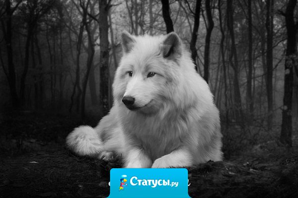 Моя проблема в том, что я, к сожалению, слишком быстро всё прощаю.