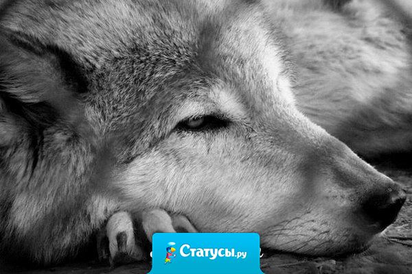 А я привык не показывать эмоции. На лице улыбка, а внутри все рвется.