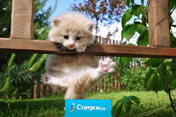 Лето еще не началось, а я уже боюсь что оно закончится.