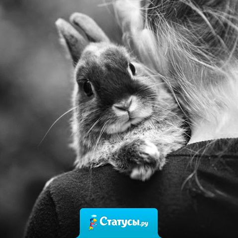 Я выбираю тех, кто по душе. Всем остальным в ней незачем топтаться!