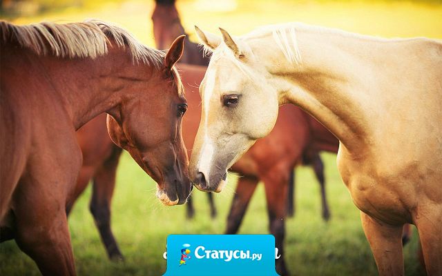 Научитесь, наконец, выбирать тех, кто выбирает Вас. Полезный навык.
