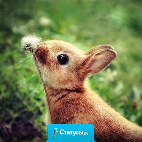 Самое важное – это навести порядок у себя в душе.