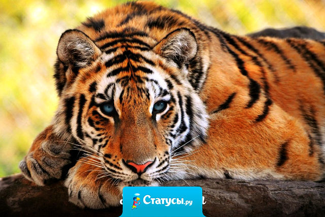 Почему я грущу по тем людям, для которых я никто?