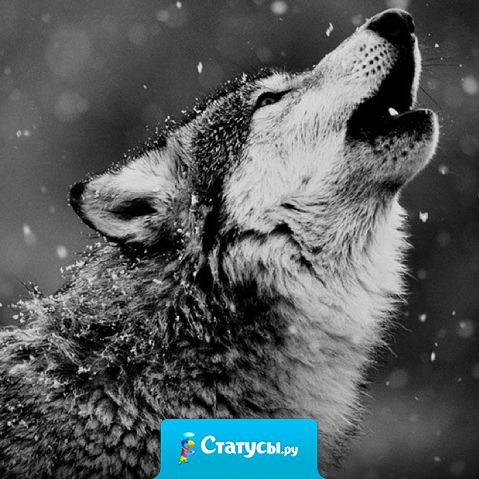 Ошибки учатся на мне.