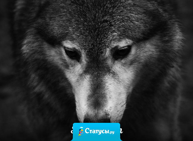 Доверять людям? Да, был такой косяк.