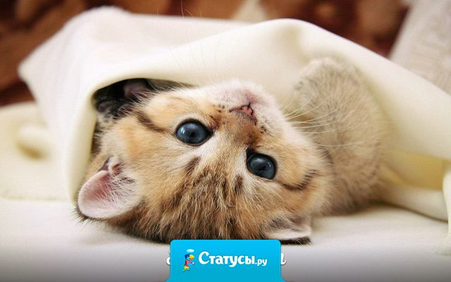 Всё надоело. Пойду брошусь под одеяло!!!