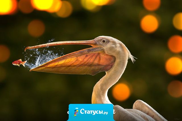 Не беспокойся, о тебе вспомнят, обязательно. Когда понадобишься.