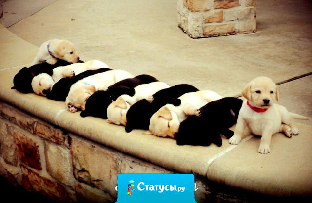 Полюбят тебя или нет — вопрос везения. А вот чтобы тебя ненавидели — нужна индивидуальность.