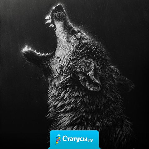 Меня трудно вывести из себя. Но загнать обратно еще сложней.