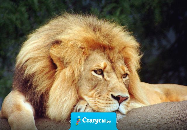 Пусть сбудется то, о чем мы молчим.