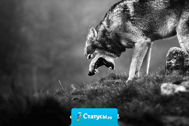 Так бывает, что в самые нужные моменты рядом нет никого.