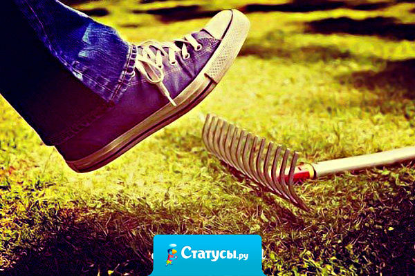 Интересно, сколько раз ноге нужно наступить на грабли, чтобы до ж*пы наконец-то дошло, что пора сворачивать свою приключенческую деятельность?