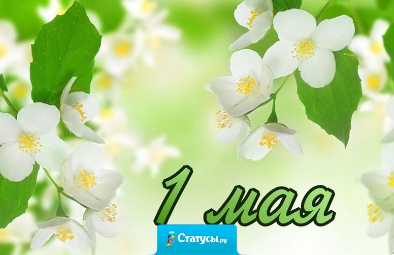 От всей души, с большим волнением, в котором, слов не находя, я поздравляю с 1 мая, с праздником Мира и Труда!