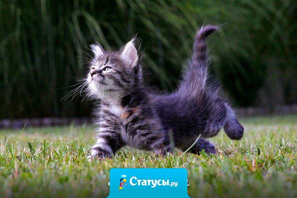 Что не делается, всё к лучшему. Было хорошо, будет ещё лучше.