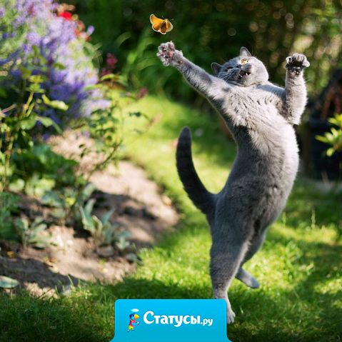 Да помню я, сколько мне лет. Самый возраст - мечтать, любить и радоваться жизни!